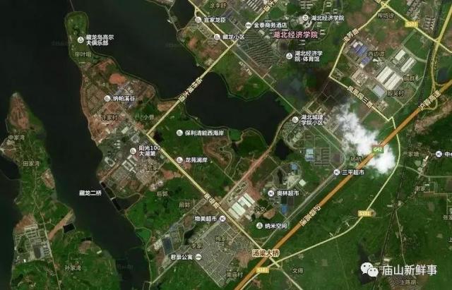 藏龍島二小最新動(dòng)態(tài)揭秘，小巷特色小店探秘之旅