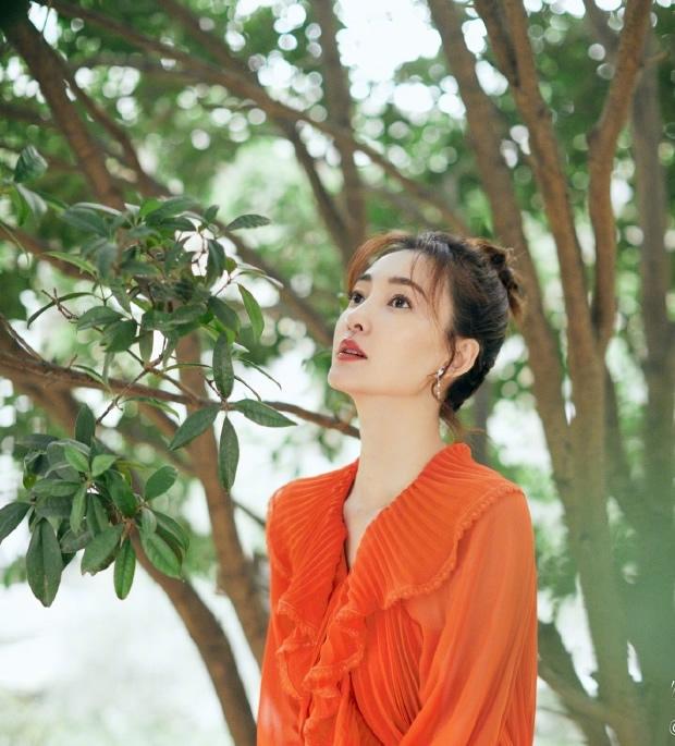 王麗坤最新電視劇，巷弄深處的星光與獨(dú)特小店之旅