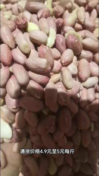 帶殼花生最新批發(fā)價(jià)格，變化中學(xué)習(xí)，成就自信與夢(mèng)想之路