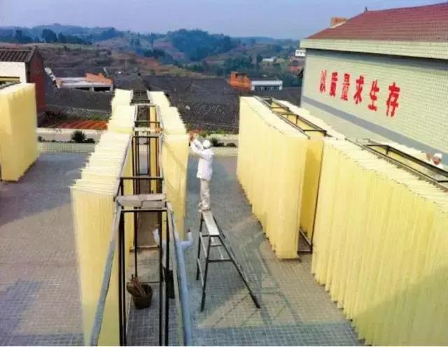 成宜高速公路最新動態(tài)，建設進展、特色亮點及未來展望