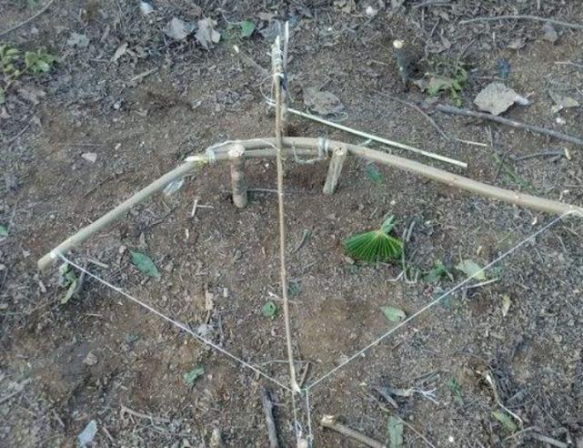 叢林大作戰(zhàn)最新版本攻略，任務(wù)完成與技能學(xué)習(xí)指南（初學(xué)者的進(jìn)階之路）