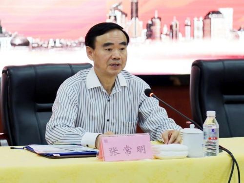 揭秘張常明最新消息，小巷中的隱藏瑰寶