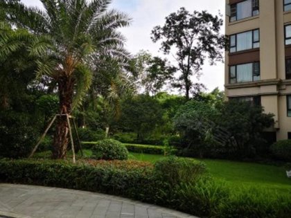 金河谷第五期最新價(jià)格揭秘，性價(jià)比與價(jià)值潛力深度剖析