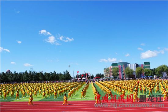 綏濱縣趙國(guó)友最新消息全解析，獲取指南與進(jìn)階技巧