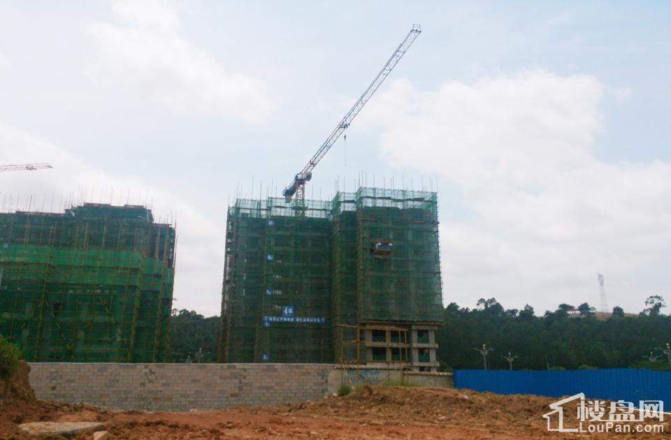 漢軍五象一號(hào)科技引領(lǐng)未來，最新動(dòng)態(tài)揭秘生活重塑之力