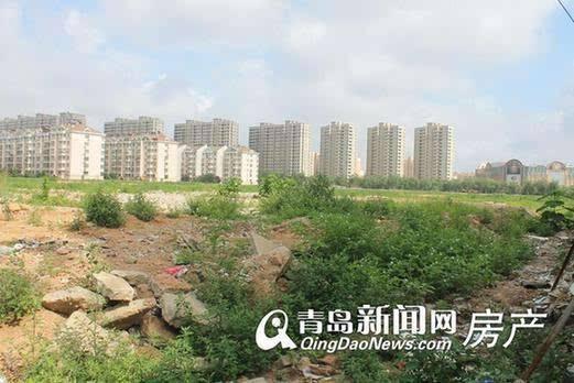 李滄楊哥莊最新動態(tài)，科技引領生活，智能新品體驗未來