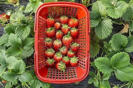 水悅龍庭證件最新進(jìn)展，自然美景探索之旅啟幕