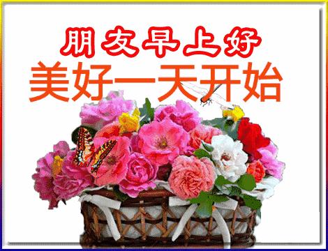 五福碰胡最新版下載，變化、學(xué)習(xí)與自信的力量之源