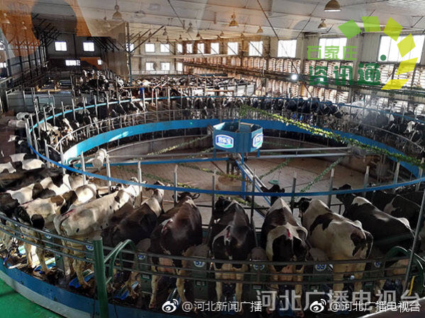 鹿泉區(qū)銅冶鎮(zhèn)最新動態(tài)與溫馨日常