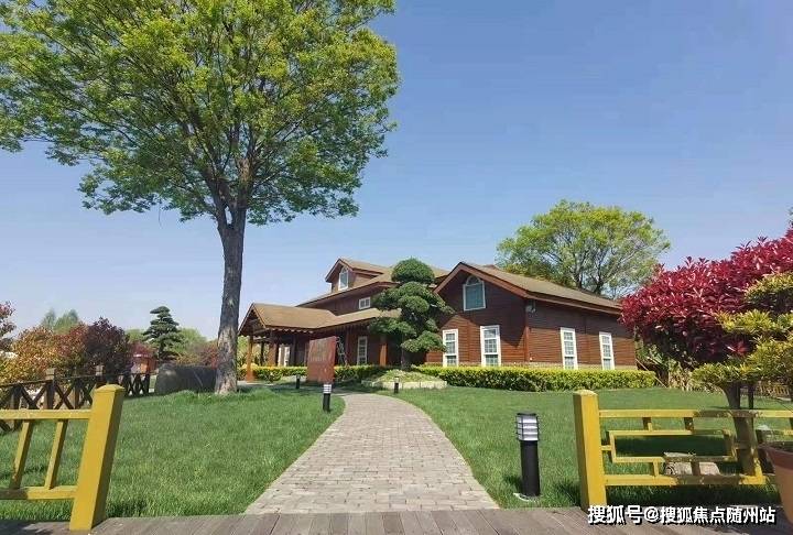 變化中的學(xué)習(xí)之旅，中澤純境最新消息與自信成就之源