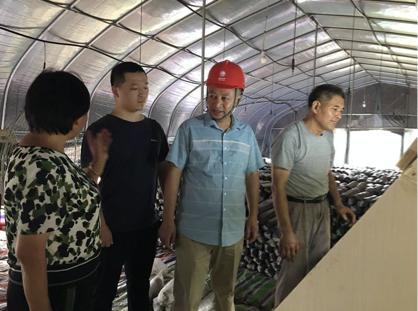 陳瑤湖汪朝龍，心靈與自然的美妙之旅最新報道