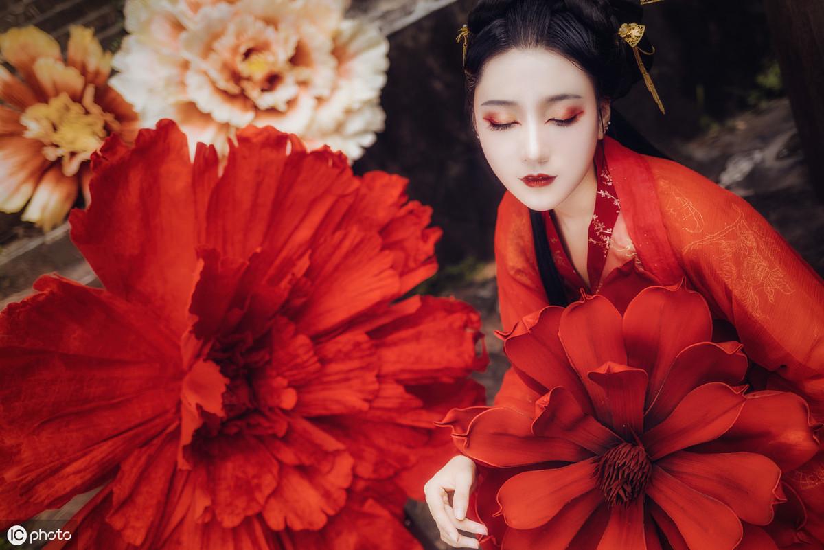 三亞海棠月色最新動(dòng)態(tài)更新，最新消息匯總