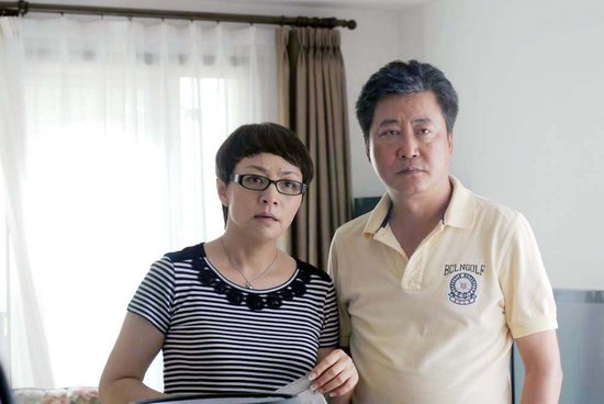 趙寶剛最新電視劇深度解析與探討，新劇探討與探討