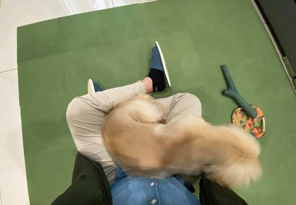 探索萌文化的魅力之旅，最新章節(jié)閱讀大全