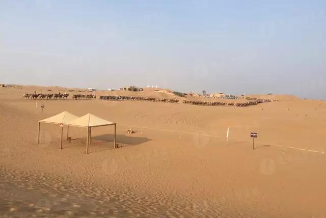 寧夏自駕游攻略大揭秘，最新攻略分享