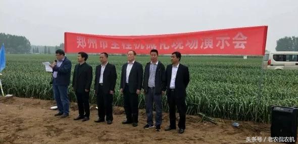 中牟大蒜最新價(jià)格揭秘，小巷深處的蒜香寶藏