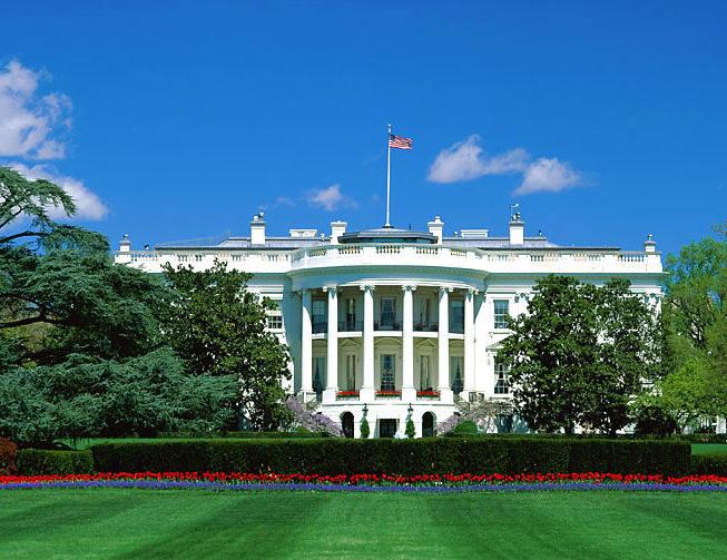 探索自然美景魅力的心靈之旅，最新紙品資訊與動(dòng)態(tài)