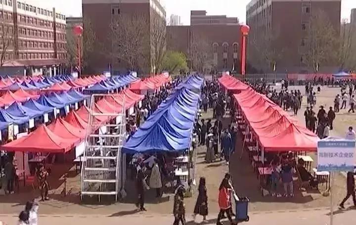 臨淄招聘最新動(dòng)態(tài)，友情紐帶與家的溫馨之旅