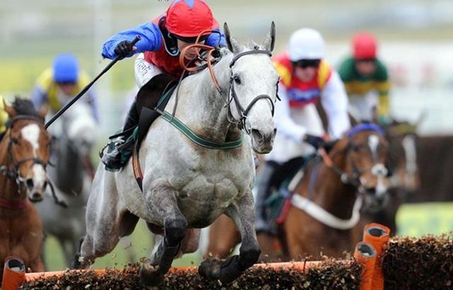 羅牛山最新動態(tài)及相關論述概述