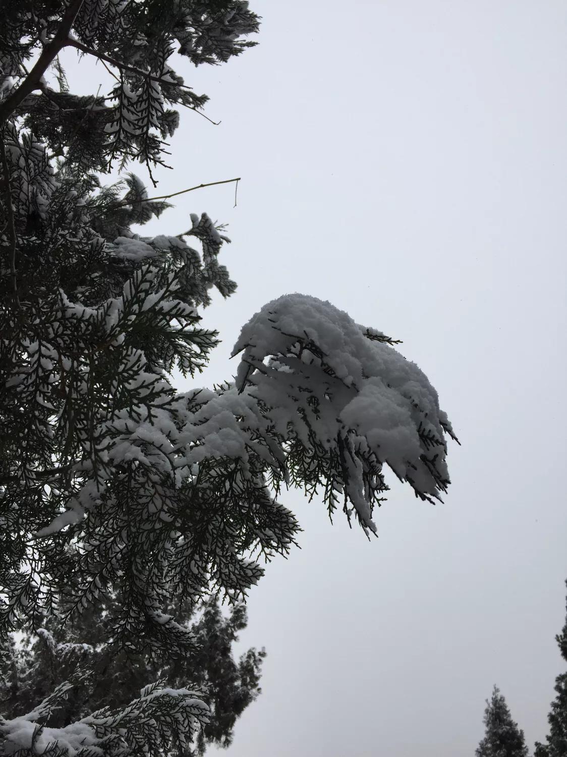 無錫馬山最新規(guī)劃揭秘，規(guī)劃下的生活日常探索