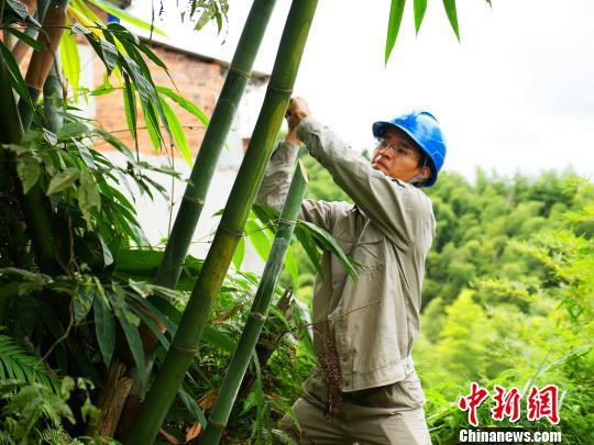 寧德臺風(fēng)最新動態(tài)，科技智能守護(hù)安全前沿