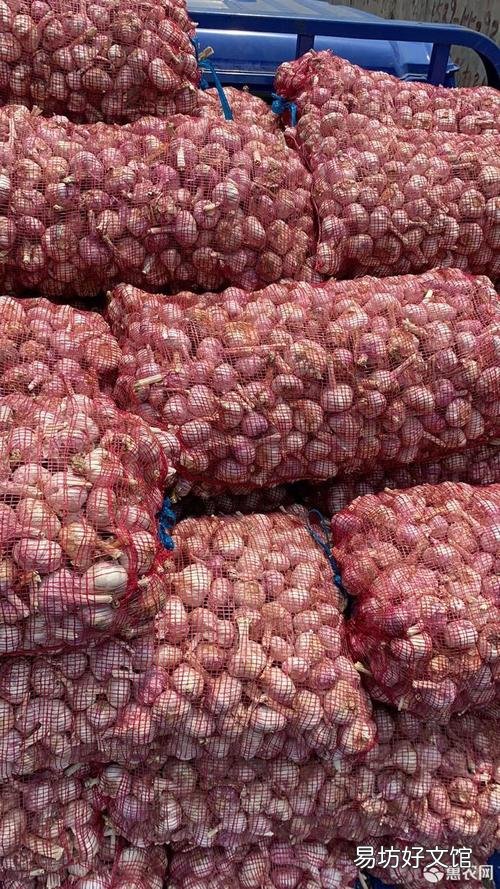 邳州大蒜最新價格行情指南，了解大蒜市場趨勢與價格變動