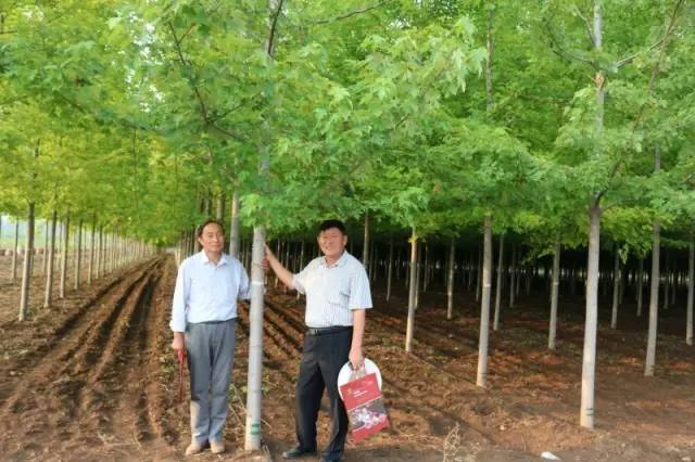 智能苗木管家，科技引領(lǐng)綠色新生活，最新苗木求購消息一網(wǎng)打盡
