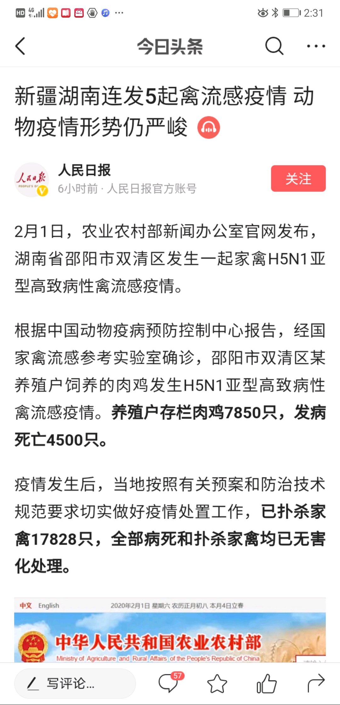 禽流感最新動(dòng)態(tài)與全面應(yīng)對步驟指南