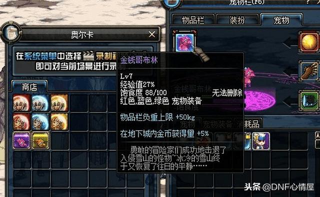 DNF最新寵物重磅上線，科技之巔，極致體驗寵物的誕生