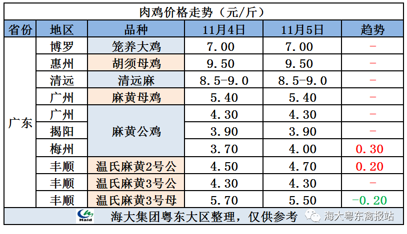 廣東雞價(jià)最新行情，心靈與自然的旅行交響曲