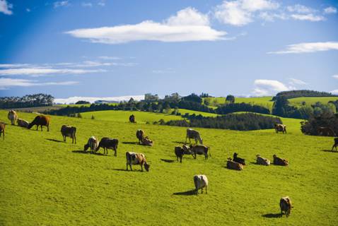 時(shí)代見證，最新牧場及其背景與重大事件概覽