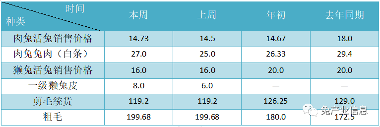 獺兔價格最新行情揭秘，溫情故事在兔子洞展開