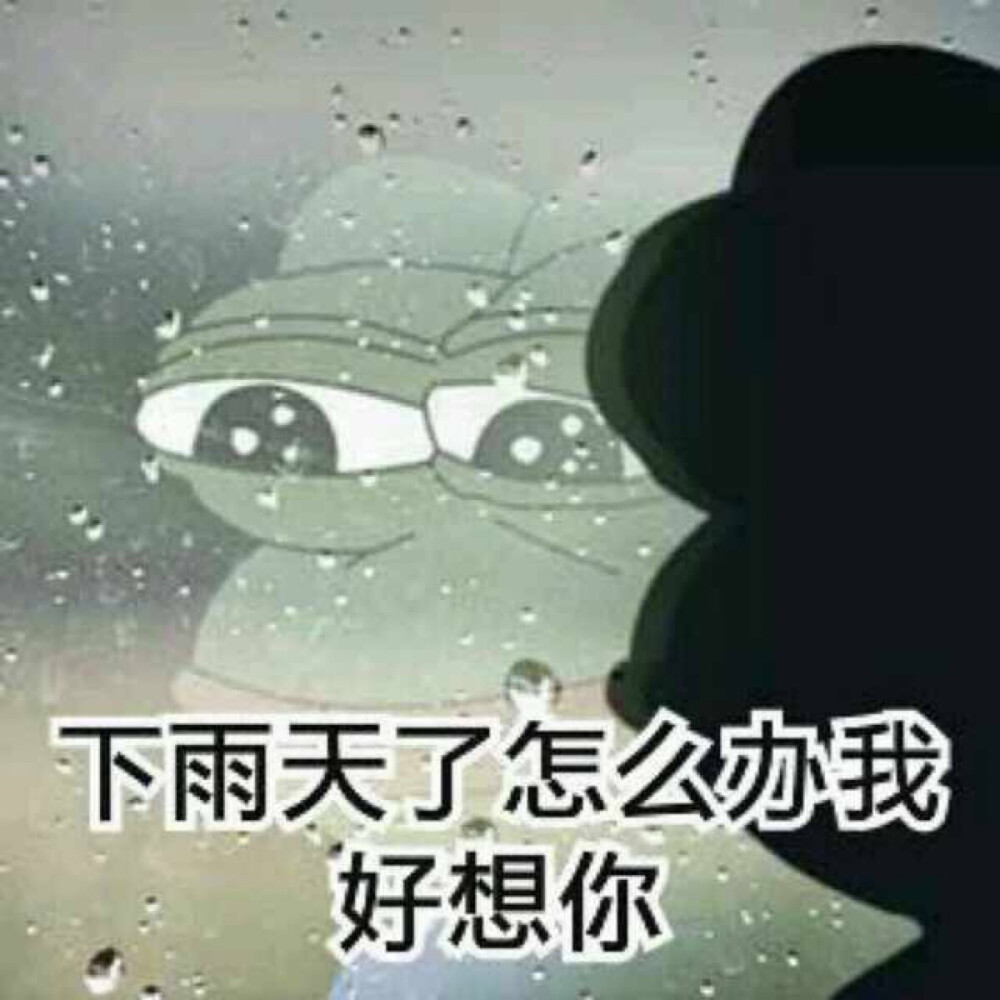 微信下雨表情包，網(wǎng)絡(luò)文化現(xiàn)象的深度探析