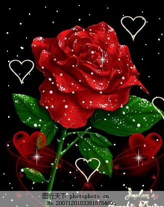 科技與藝術(shù)完美融合，最新玫瑰花閃圖欣賞