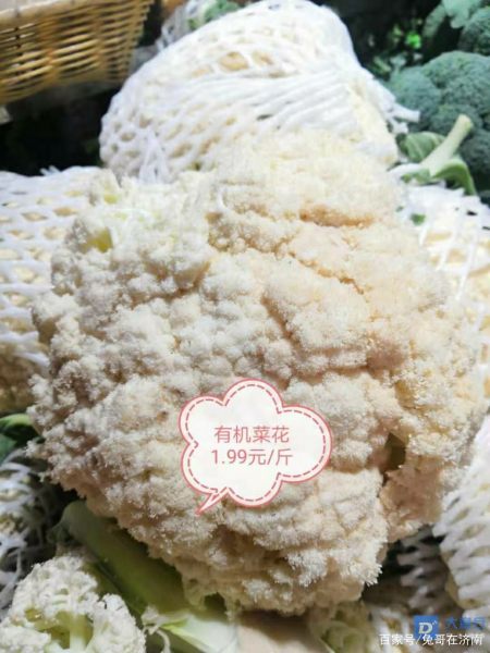 有機(jī)菜花價格最新行情，科技引領(lǐng)綠色生活新潮流趨勢