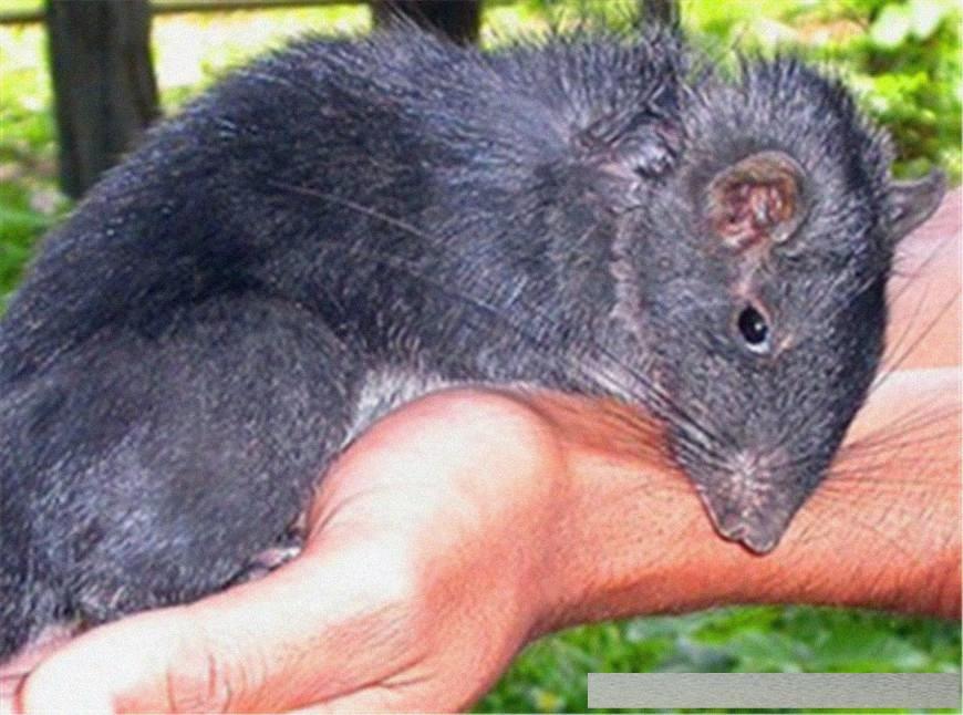 穿越火線4月探索自然美景活動(dòng)，尋找內(nèi)心的平和與寧靜之旅