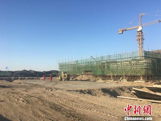 唐山豐南港最新動(dòng)態(tài)，港口邊的溫情故事