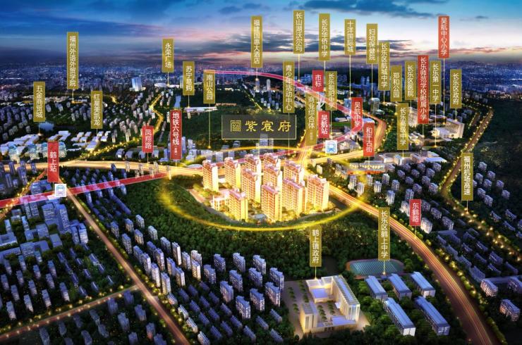 長樂游梅文最新動(dòng)態(tài)，文化與自然的交融辯論盛宴