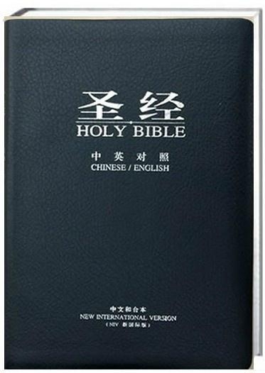 圣經(jīng)最新版本，科技與信仰的交融之作