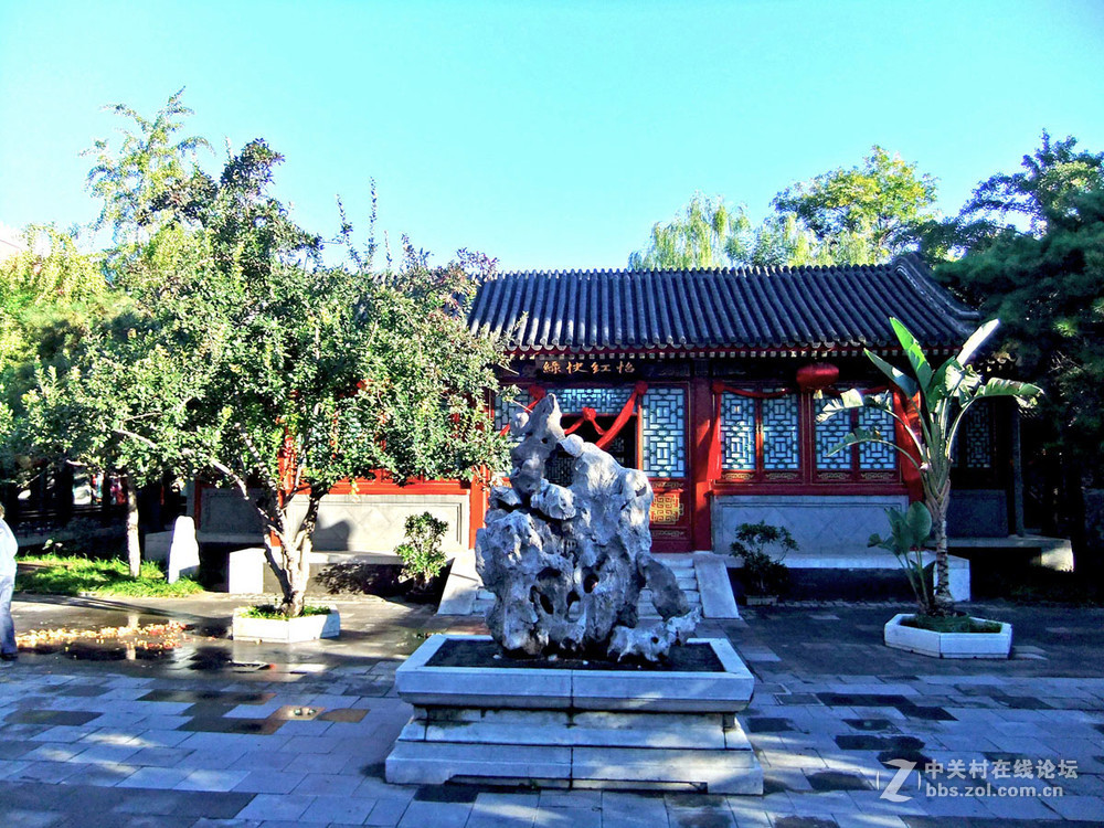 最新怡春院手機(jī)在線，日常趣事與情感紐帶連接的世界