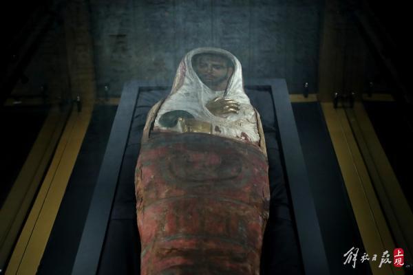 科技前沿，布醫(yī)無名的新產(chǎn)品革新與體驗(yàn)革新最新章節(jié)