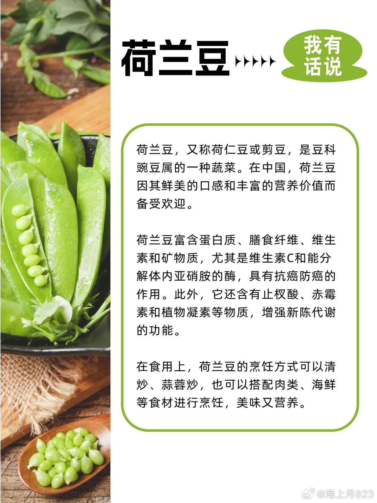 荷蘭豆價(jià)格最新行情指南，掌握最新行情，洞悉荷蘭豆價(jià)格動(dòng)態(tài)