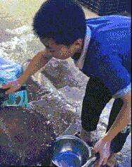 劍客無敵逆天邪神最新章節(jié)探秘，逆天劍意之征途