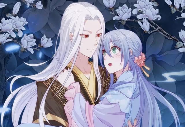 侯門寵妻，古代豪門婚姻生活的深度解讀最新章節(jié)解析