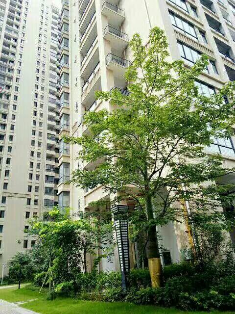 力沃幸福里最新動態(tài)，學習變化，成就自信與幸福之源