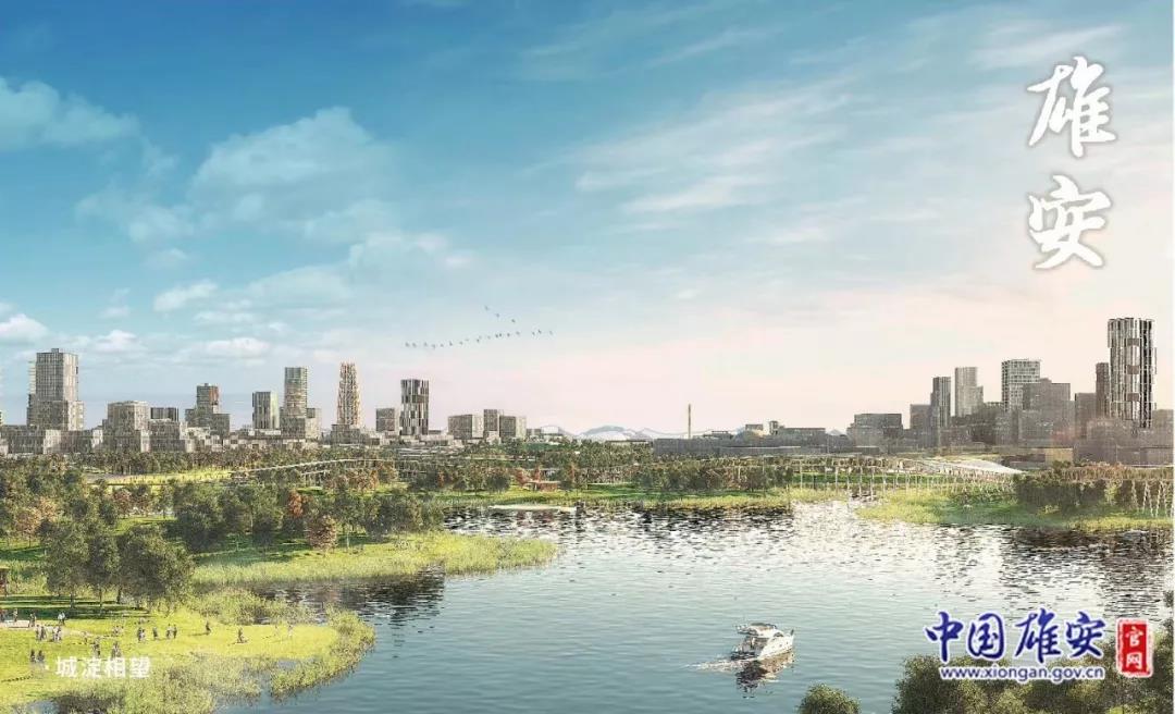 雄安新區(qū)論壇熱議，變化中的自信與成就感的碰撞