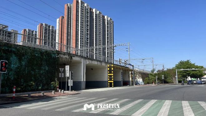 茂名最新動(dòng)態(tài)，蓬勃發(fā)展的城市關(guān)注焦點(diǎn)