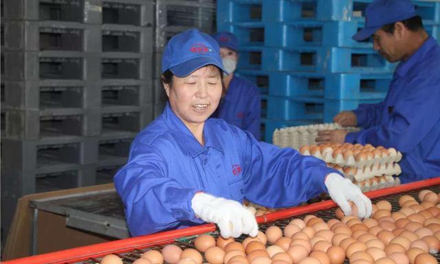 太仆寺旗寶昌最新房價，家的溫暖與房地產(chǎn)市場動態(tài)