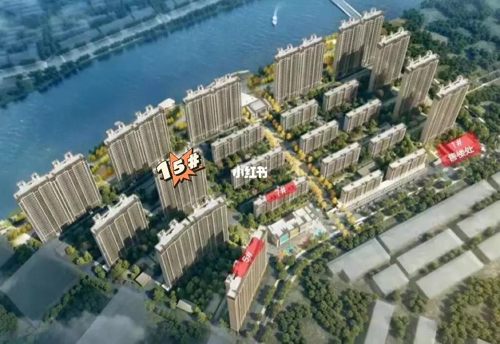 阜寧帝逸國(guó)際最新信息一覽，概覽與詳述