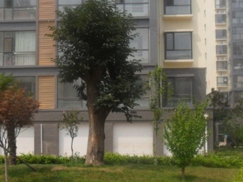 臨沭租房最新信息大全，便捷生活從此開(kāi)始